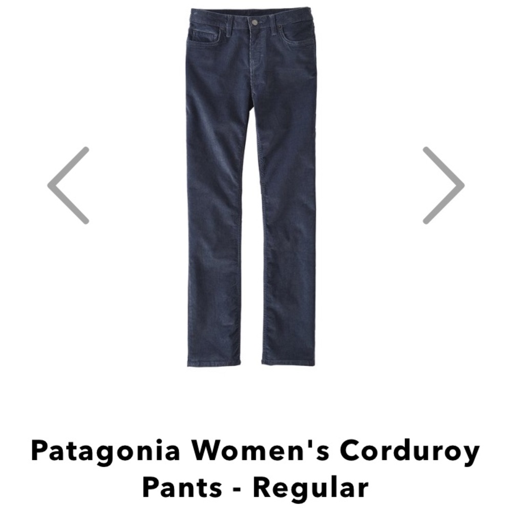 Patagonia Blue corduroy pants